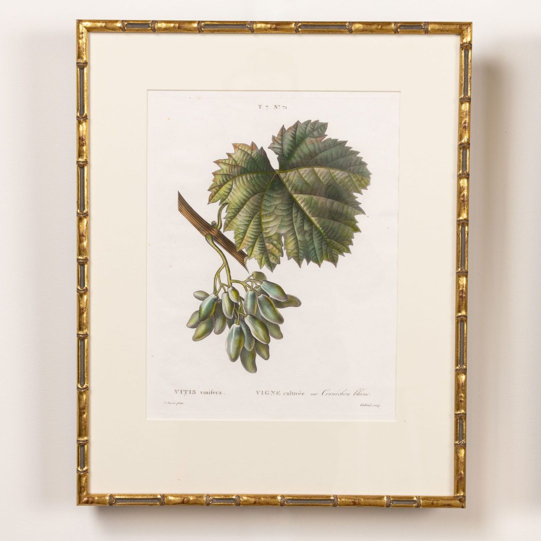 0_2315_19th_century_French_copper_plate_engravings-0004