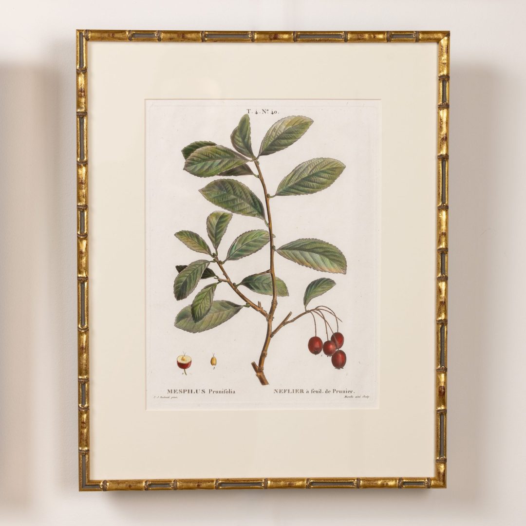 0_2315_19th_century_French_copper_plate_engravings-0015