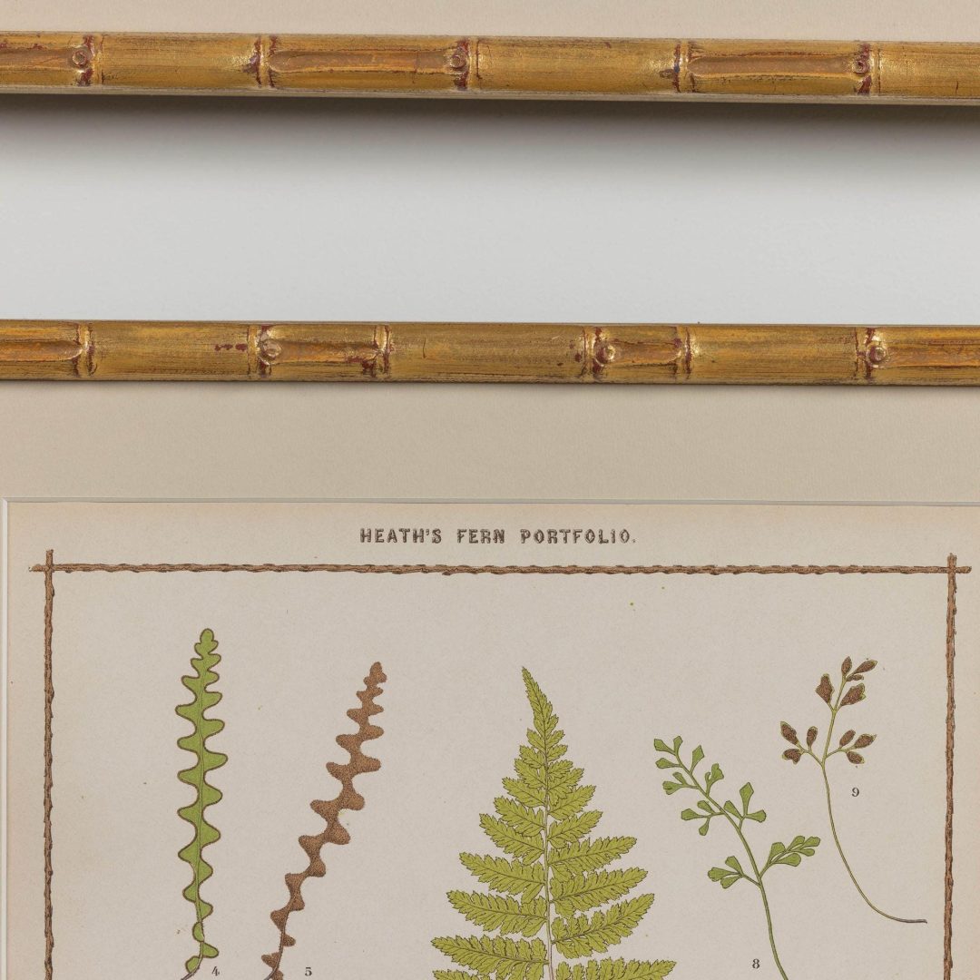 11_1945A_19th_century_collectoin_of_four_framed_english_fern_chromolithographs_013
