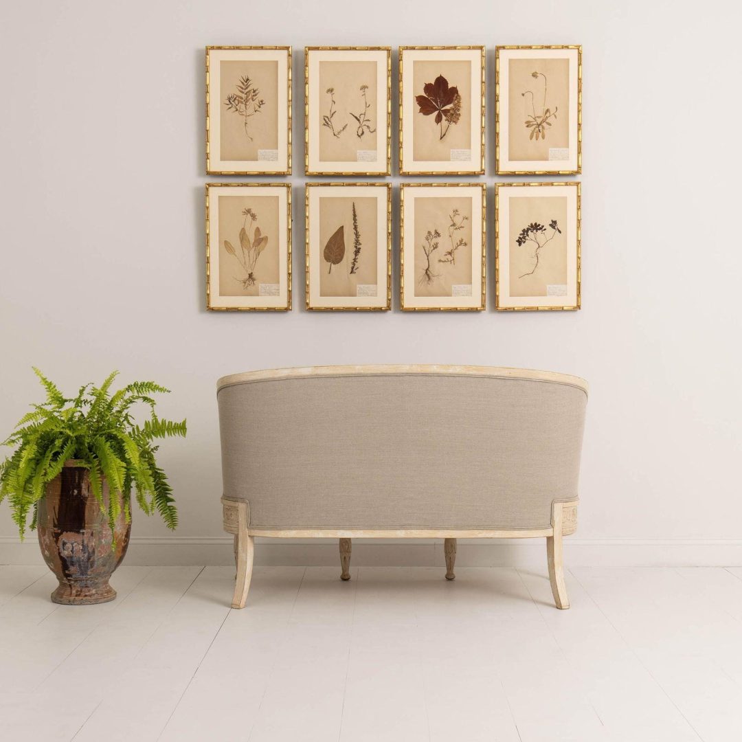 19_2235_Swedish_Gustavian_sofa_with_griffins_in_original_paint_030_2