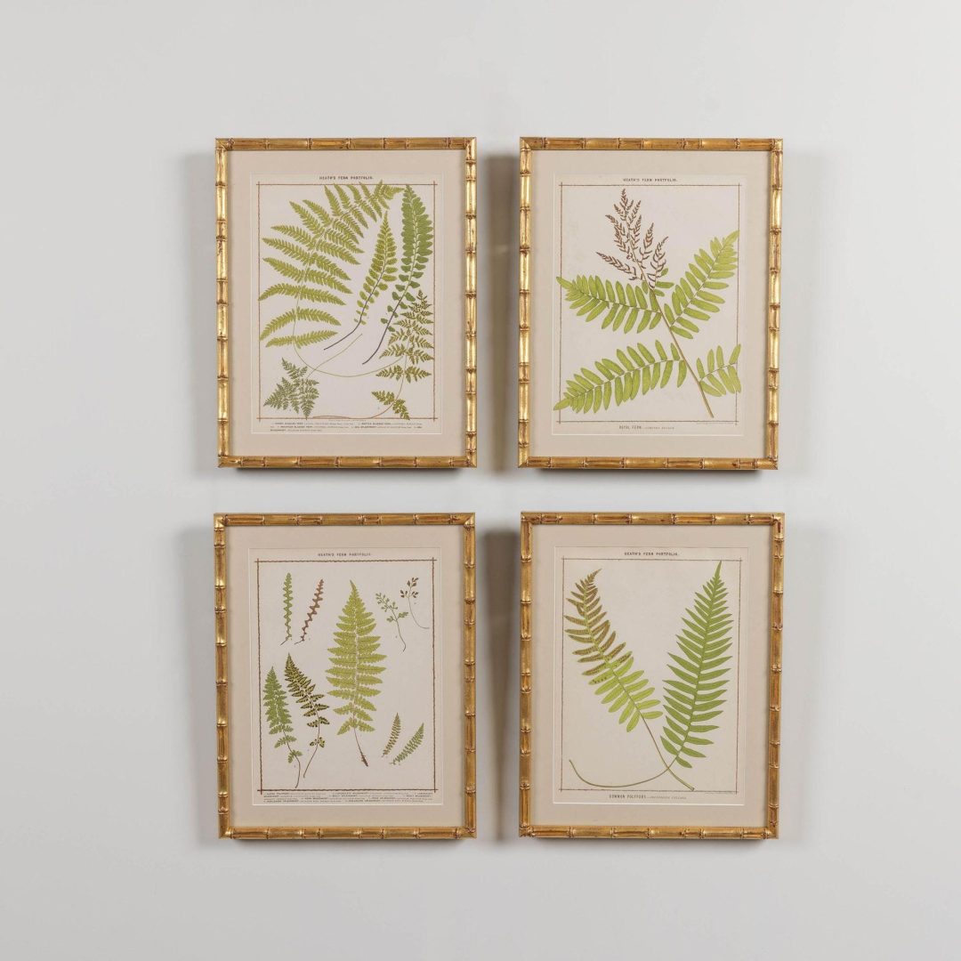 1_1945A_19th_century_collectoin_of_four_framed_english_fern_chromolithographs_003