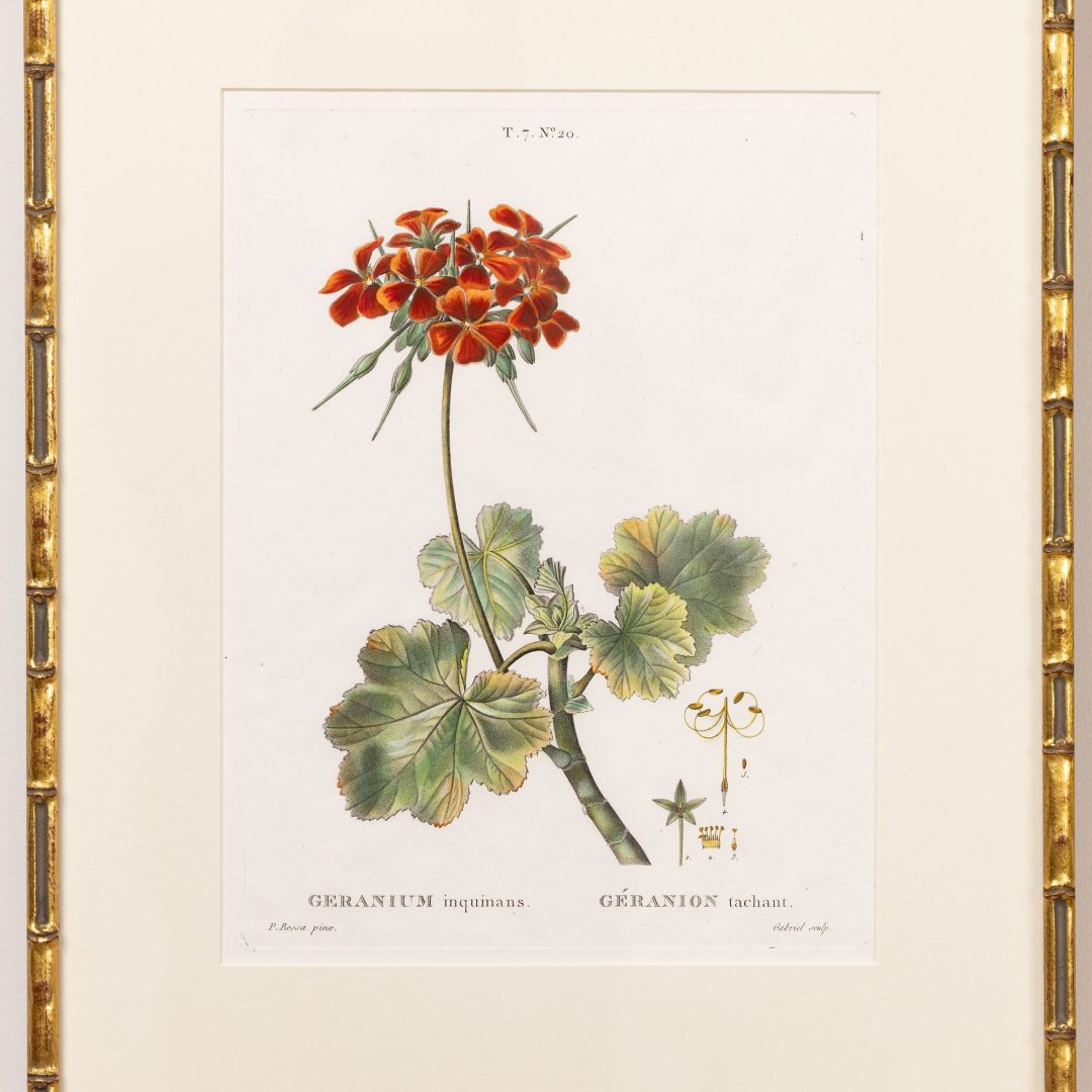 1_2314_19th_century_French_copper_plate_engravings-0005
