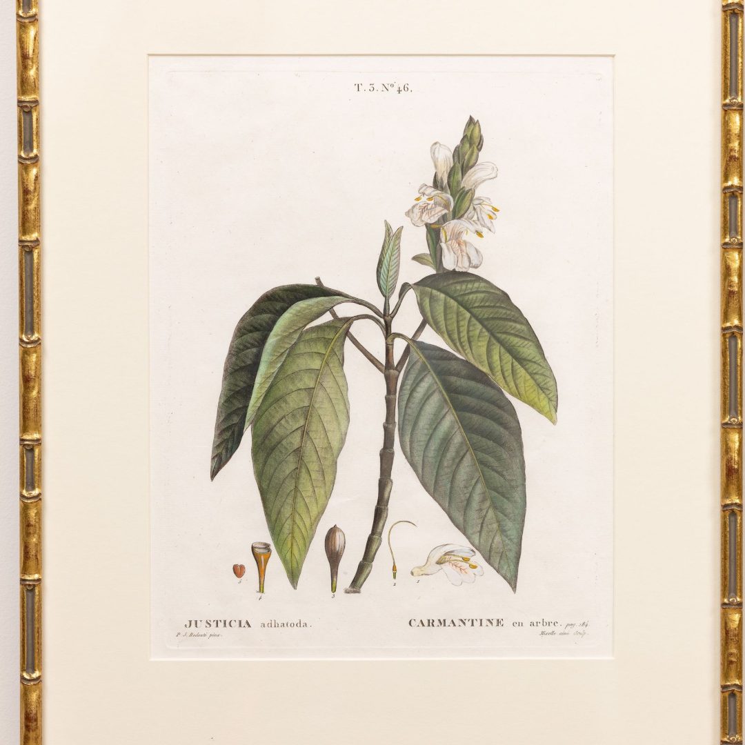 1_2314_19th_century_French_copper_plate_engravings-0007