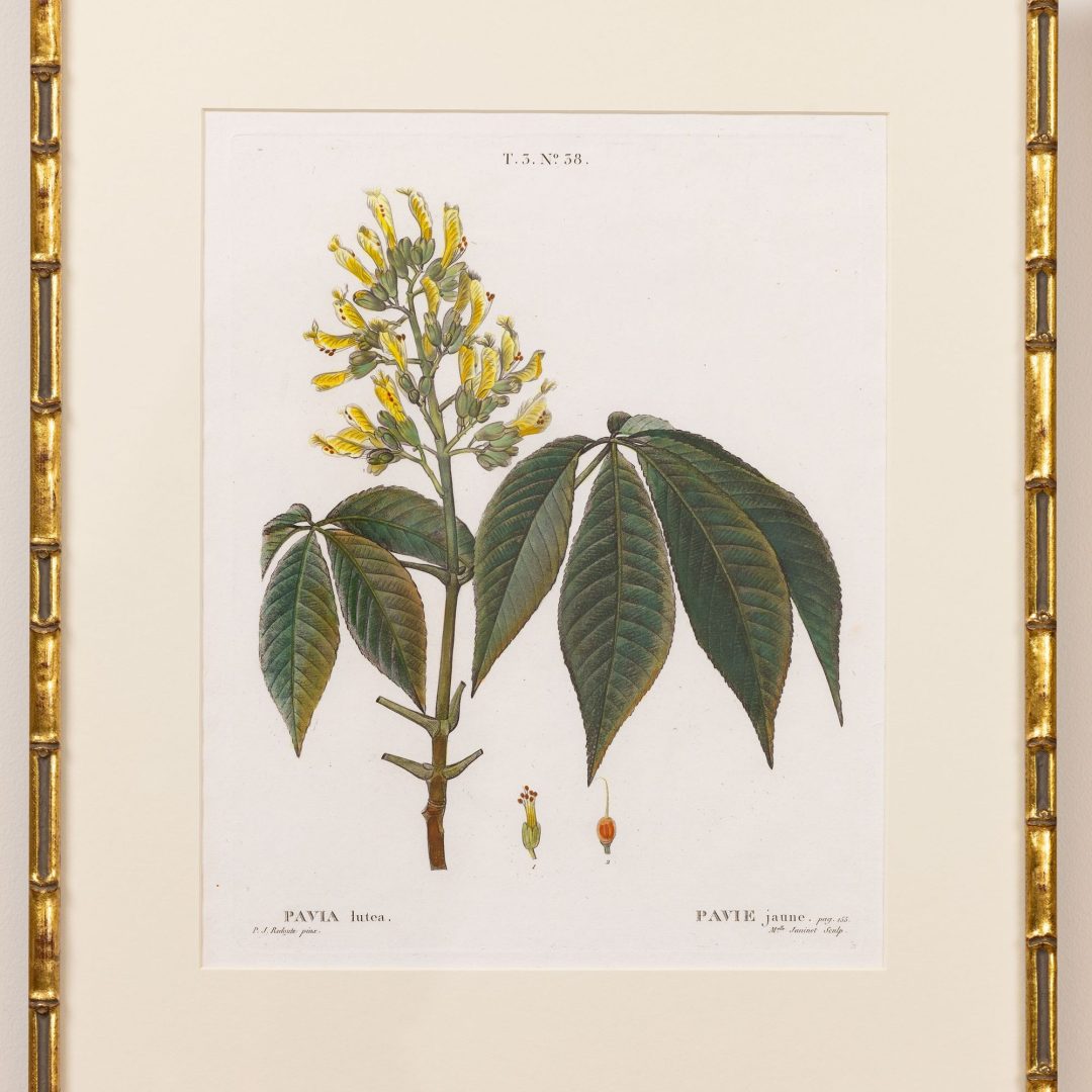 1_2314_19th_century_French_copper_plate_engravings-0011