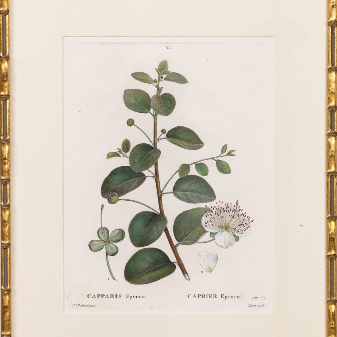 1_2314_19th_century_French_copper_plate_engravings-0017
