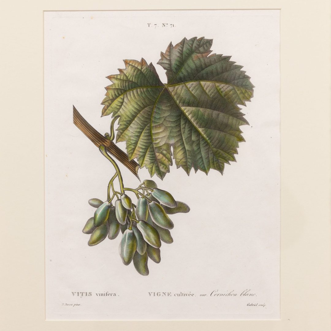 1_2315_19th_century_French_copper_plate_engravings-0003