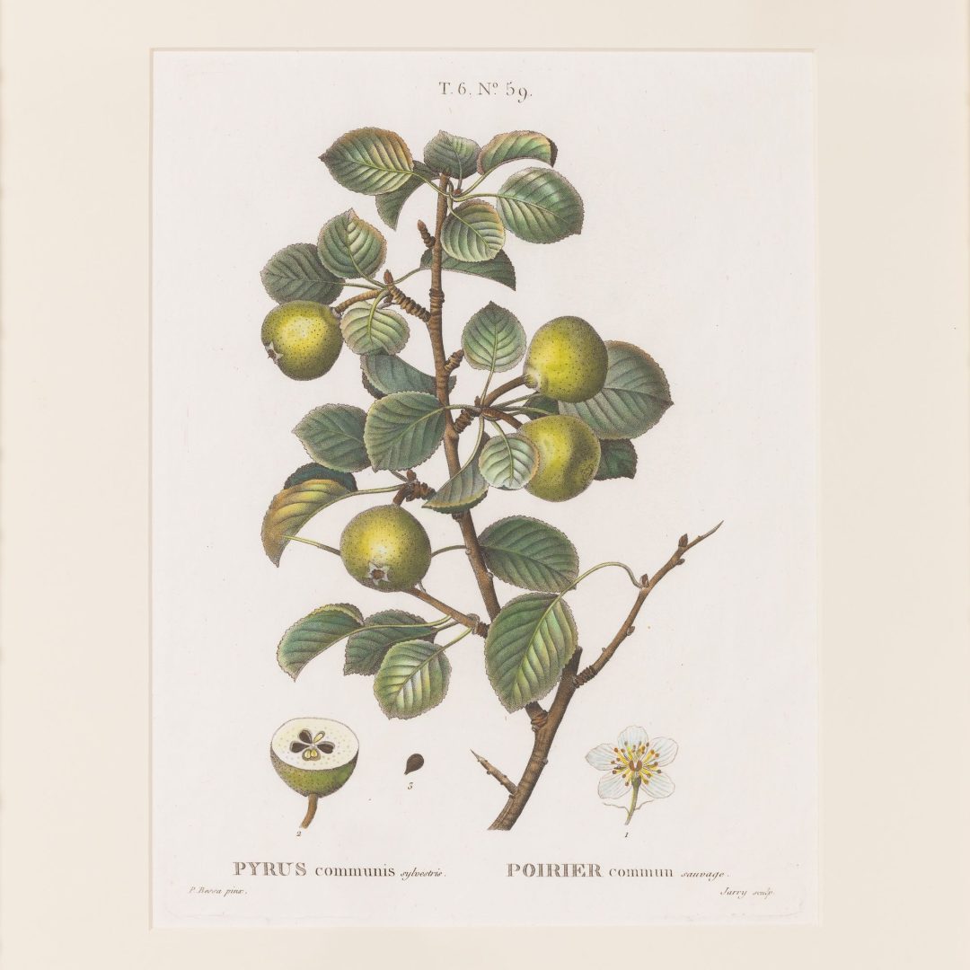 1_2315_19th_century_French_copper_plate_engravings-0008