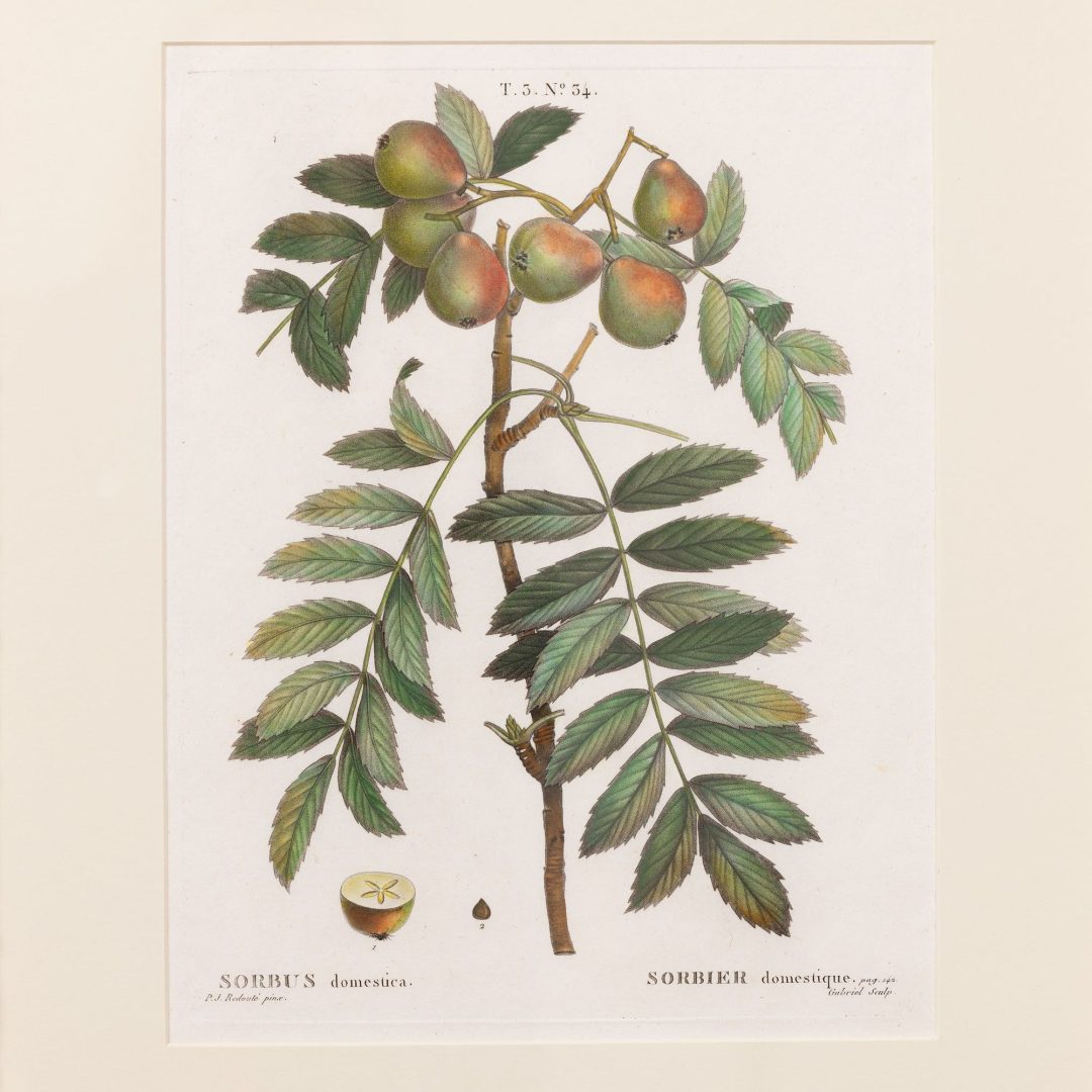1_2315_19th_century_French_copper_plate_engravings-0010