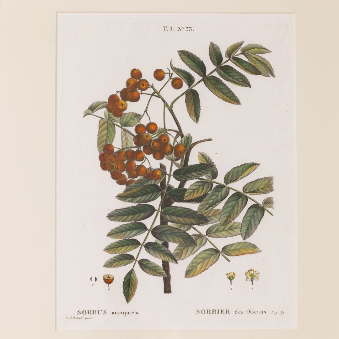1_2315_19th_century_French_copper_plate_engravings-0014