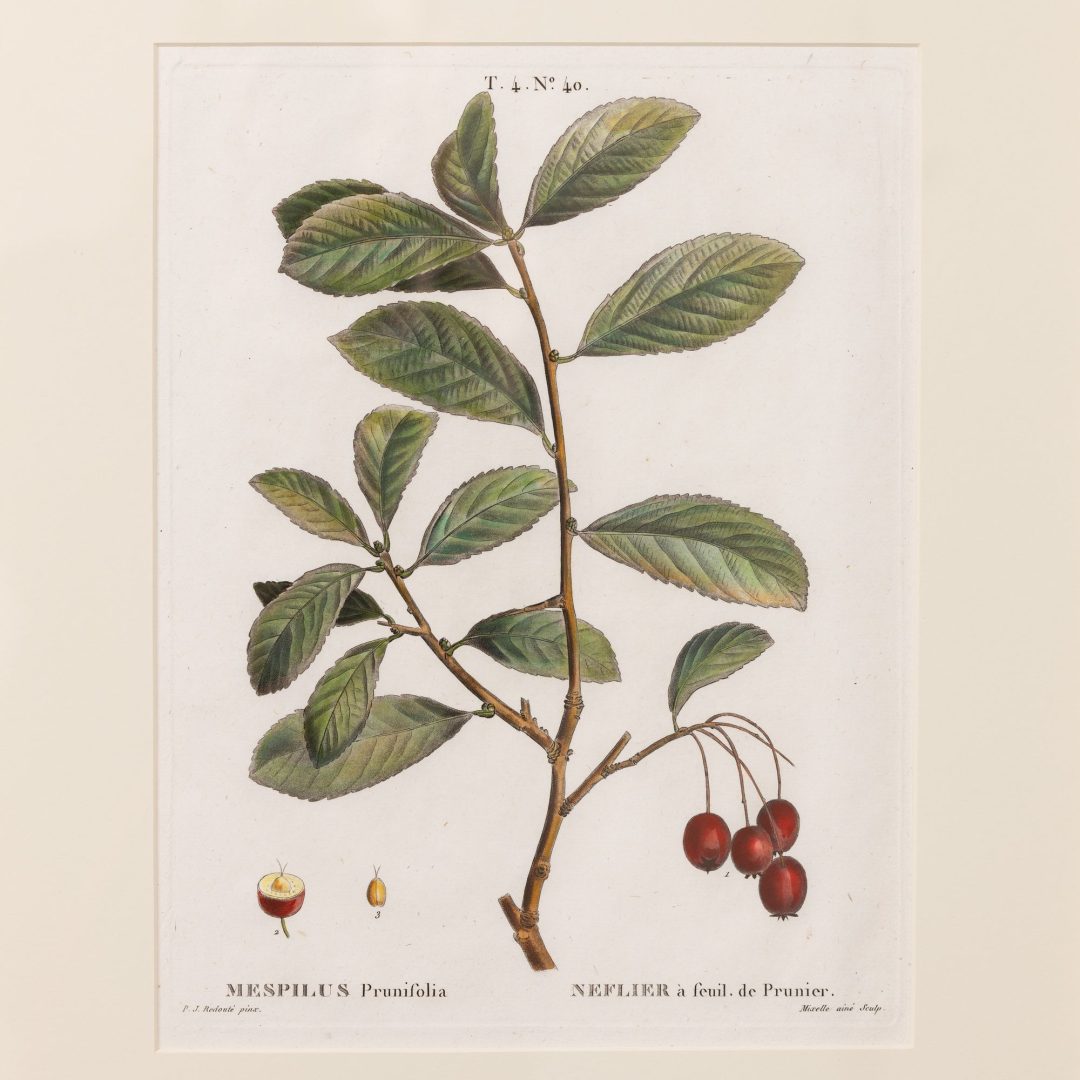 1_2315_19th_century_French_copper_plate_engravings-0016