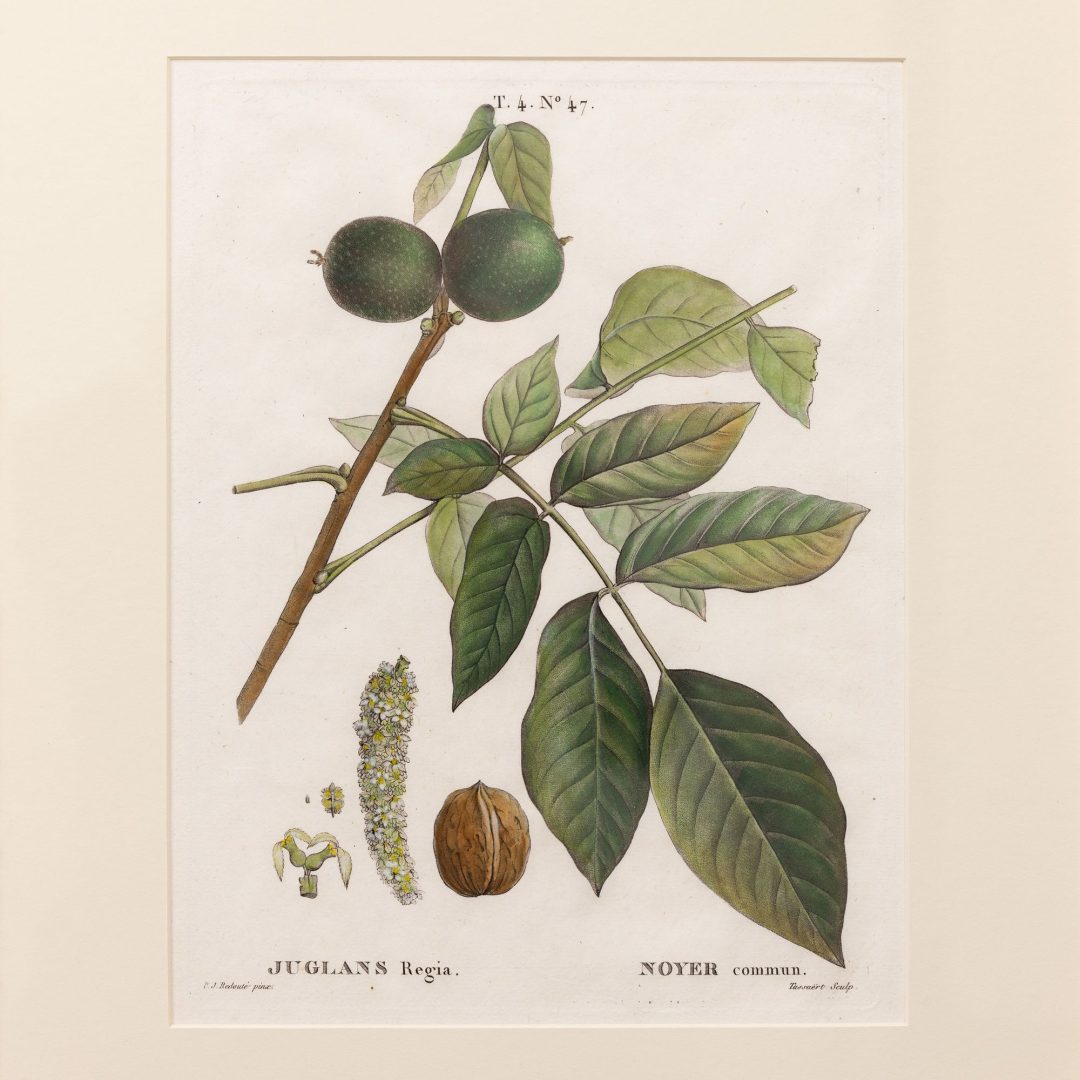 1_2315_19th_century_French_copper_plate_engravings-0018
