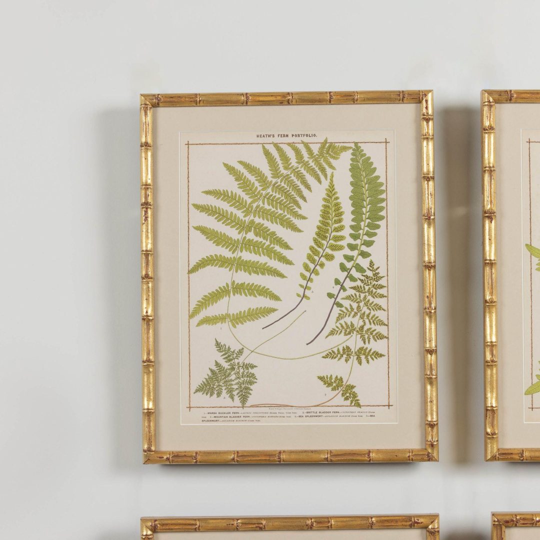 2_1945A_19th_century_collectoin_of_four_framed_english_fern_chromolithographs_004