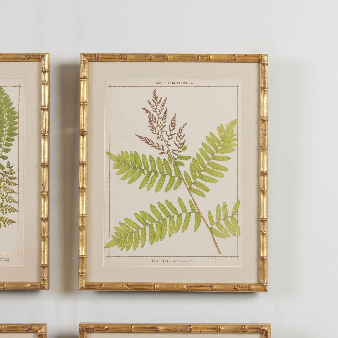 3_1945A_19th_century_collectoin_of_four_framed_english_fern_chromolithographs_005