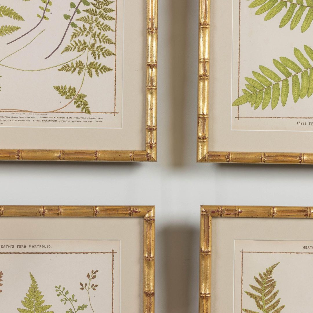 6_1945A_19th_century_collectoin_of_four_framed_english_fern_chromolithographs_008