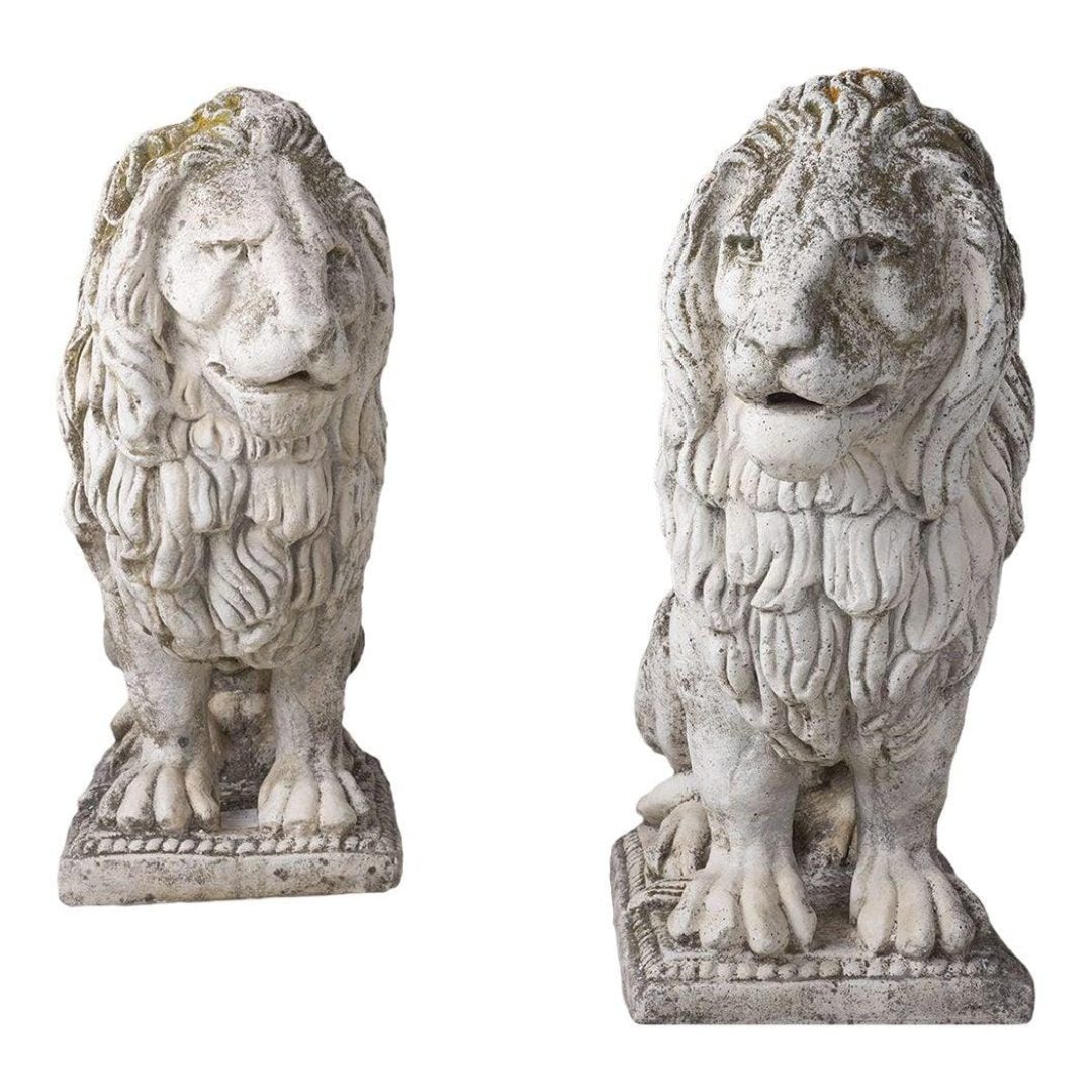 Lions20-20M.jpg